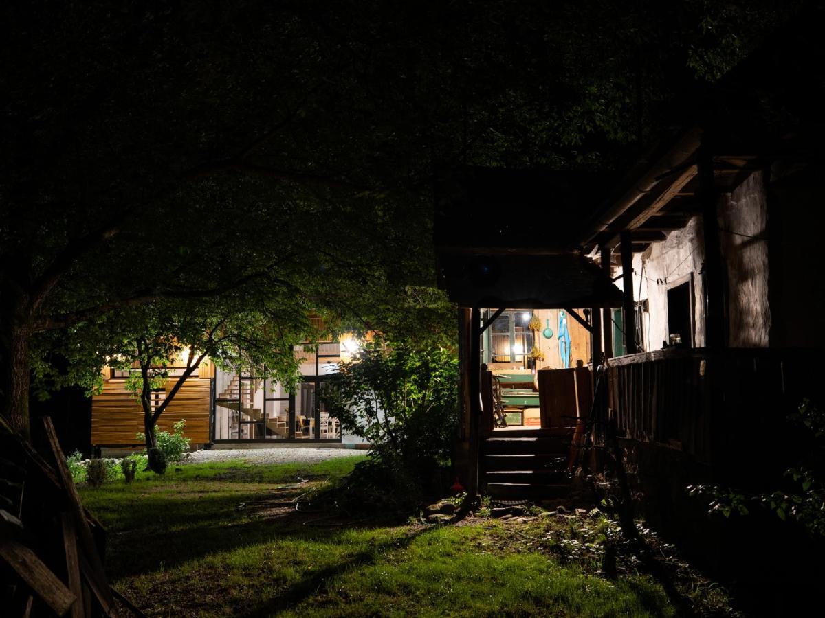 ASTER panzió Acomodação com café da manhã Cîmpu Cetăţii Exterior foto
