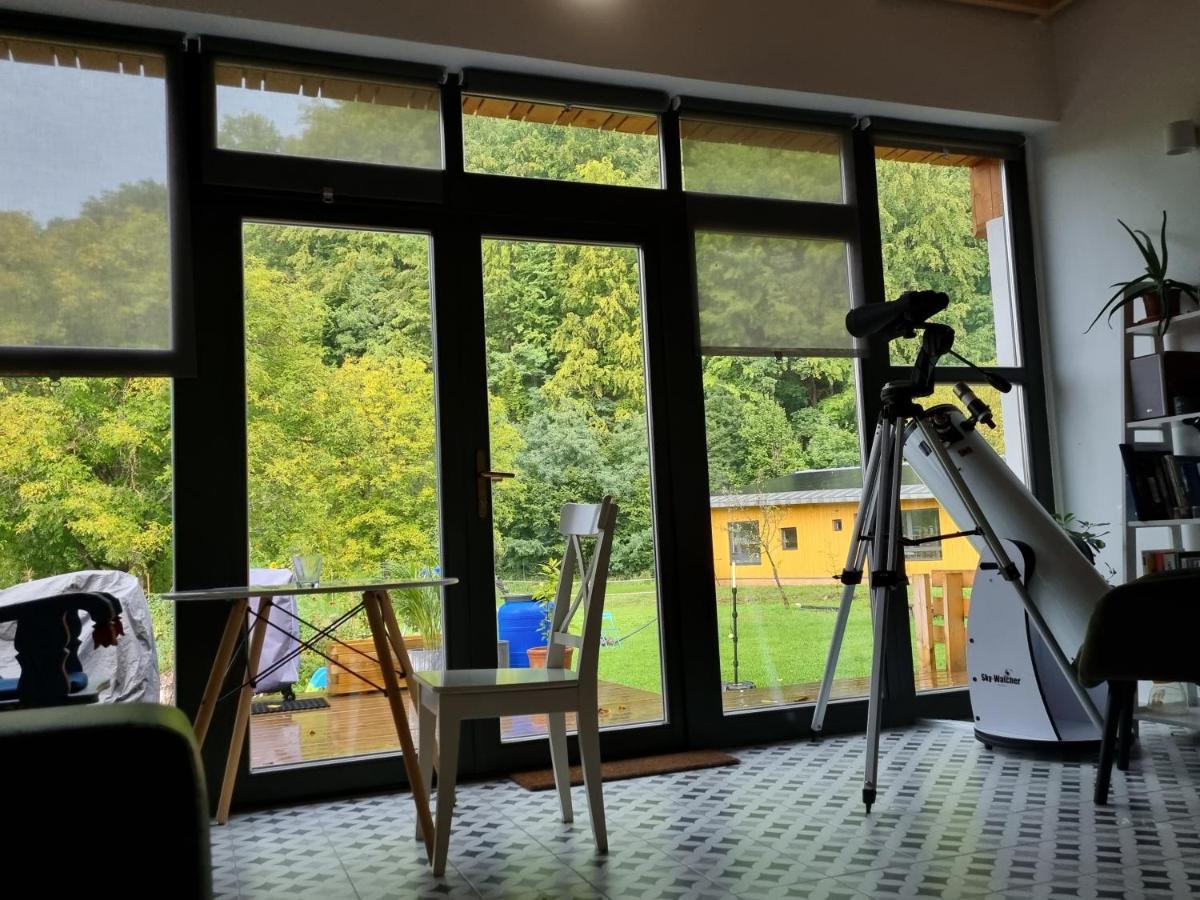 ASTER panzió Acomodação com café da manhã Cîmpu Cetăţii Exterior foto
