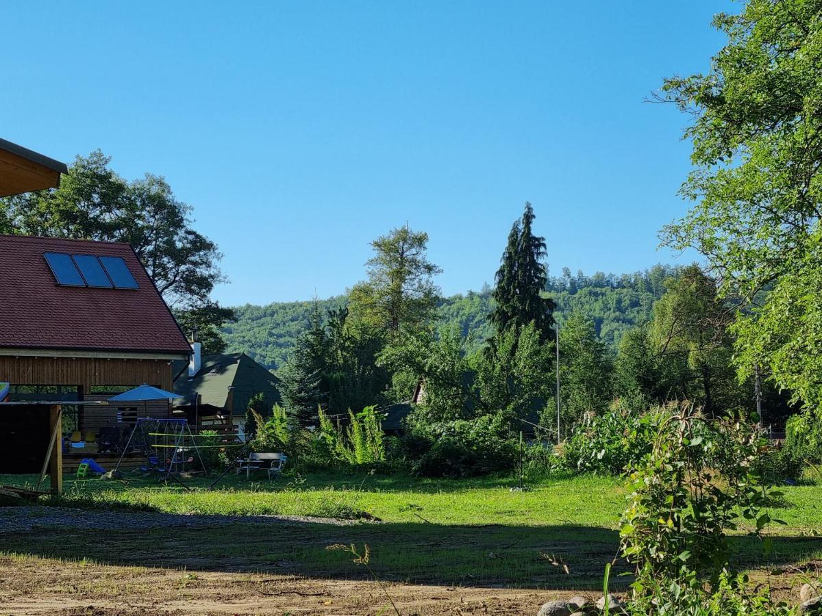 ASTER panzió Acomodação com café da manhã Cîmpu Cetăţii Exterior foto