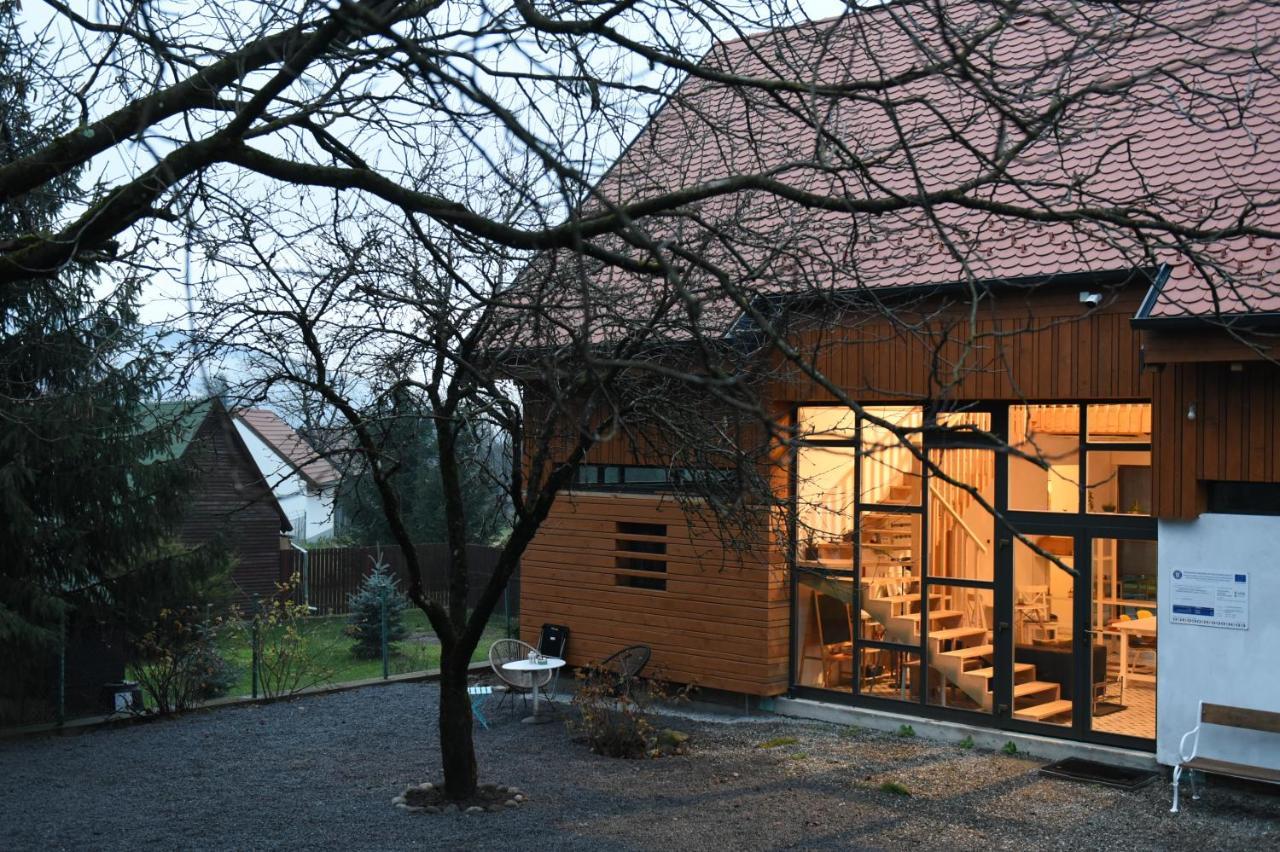 ASTER panzió Acomodação com café da manhã Cîmpu Cetăţii Exterior foto