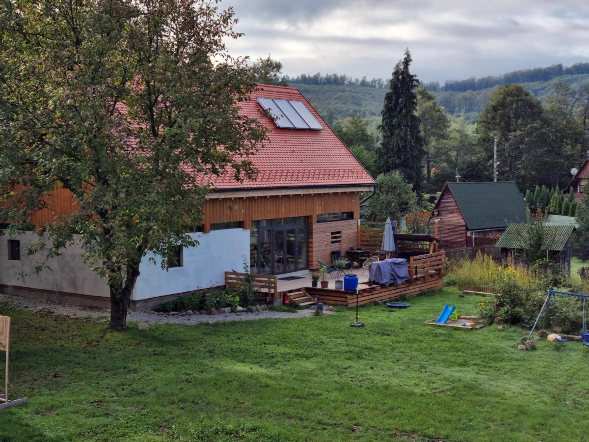 ASTER panzió Acomodação com café da manhã Cîmpu Cetăţii Exterior foto