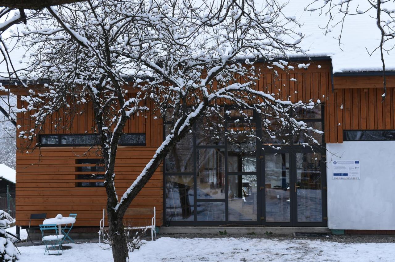 ASTER panzió Acomodação com café da manhã Cîmpu Cetăţii Exterior foto