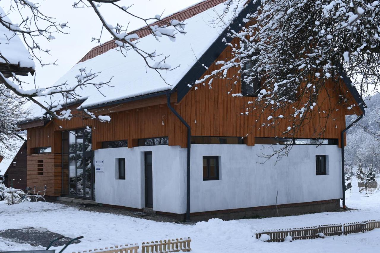 ASTER panzió Acomodação com café da manhã Cîmpu Cetăţii Exterior foto