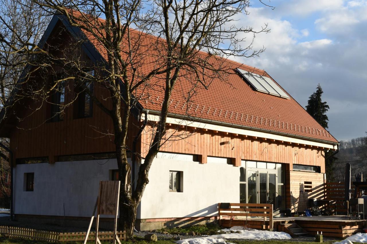 ASTER panzió Acomodação com café da manhã Cîmpu Cetăţii Exterior foto