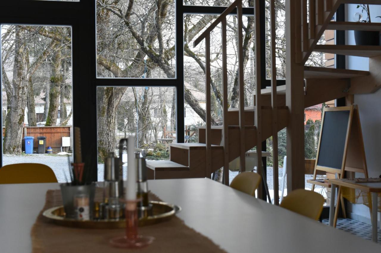 ASTER panzió Acomodação com café da manhã Cîmpu Cetăţii Exterior foto