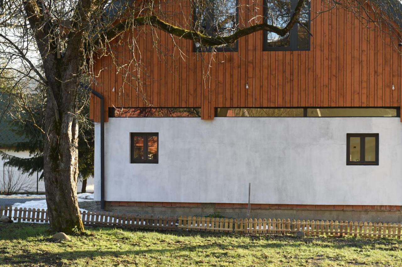 ASTER panzió Acomodação com café da manhã Cîmpu Cetăţii Exterior foto